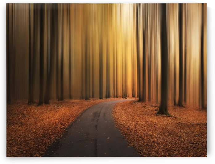 Path to unknown by 1x