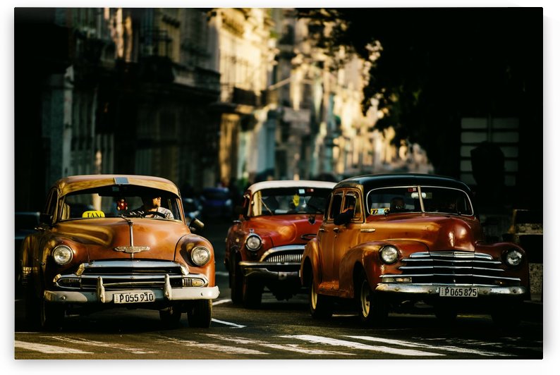 Come with me in the morning light by 1x