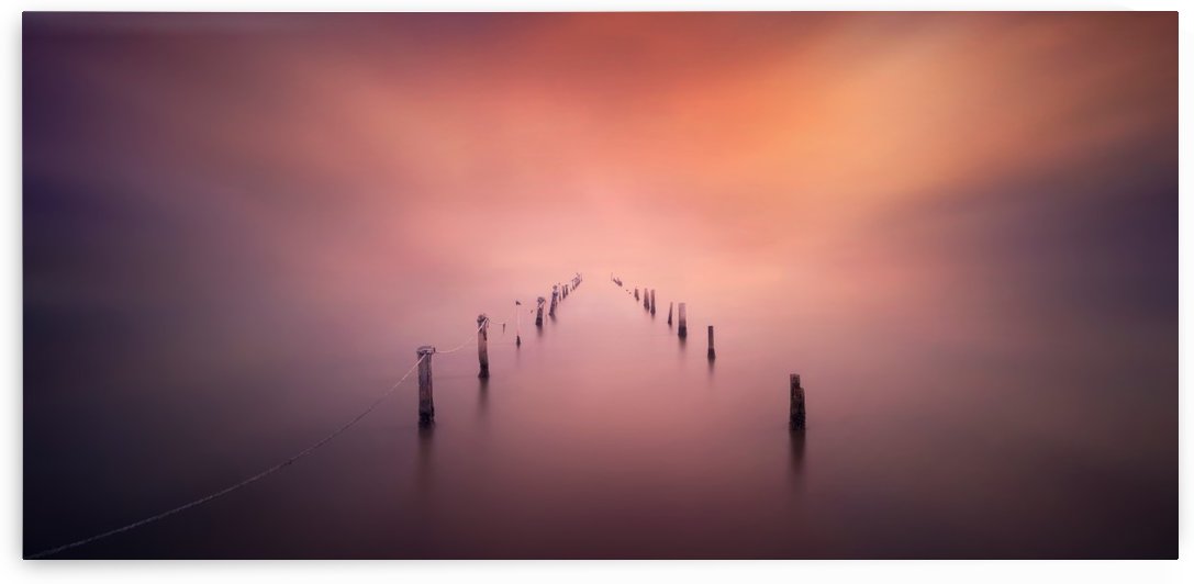 The light by 1x