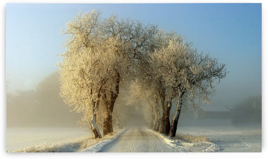 Winter  gateway by 1x