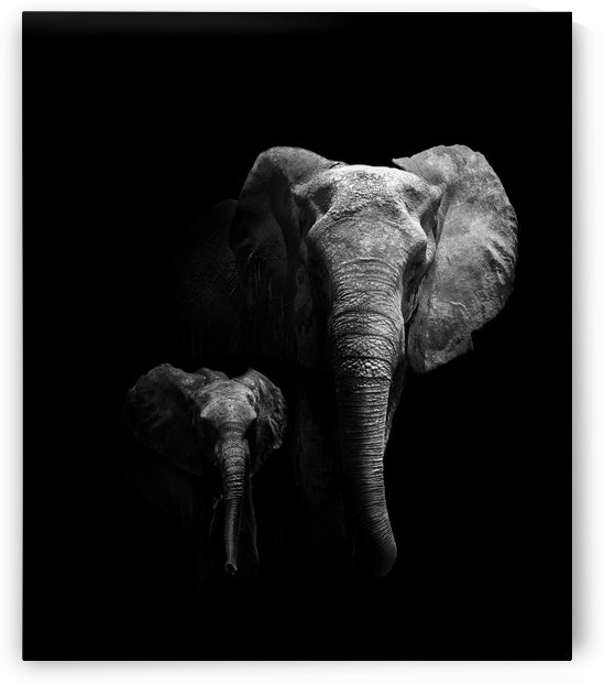 Mother and Child by 1x