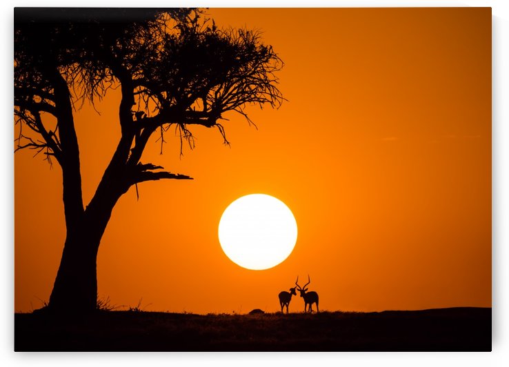 African Sunset by 1x