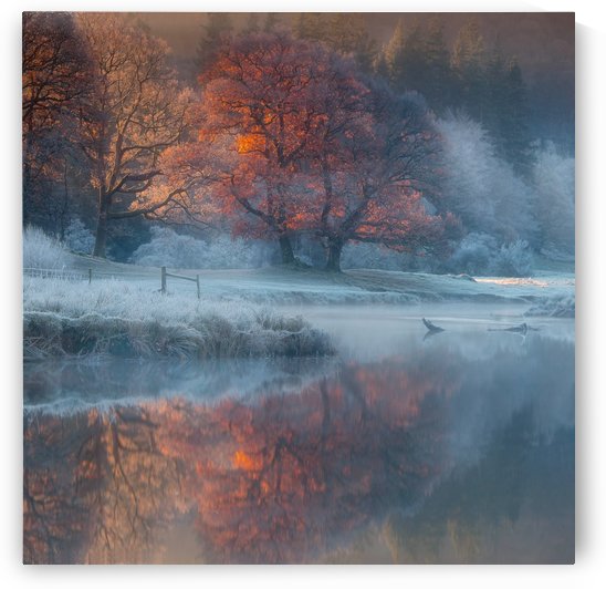 River Brathay by 1x