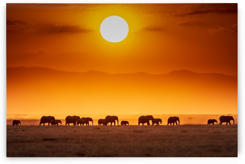 Sunrise parade by 1x