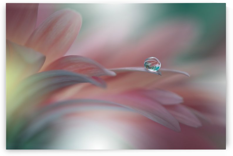 Sunbeam..II by 1x