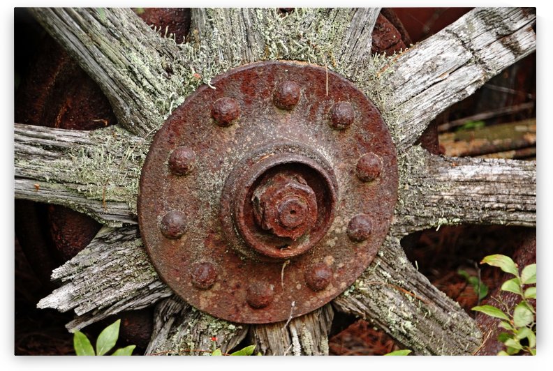 Ten Old Wood Spokes by Deb Oppermann