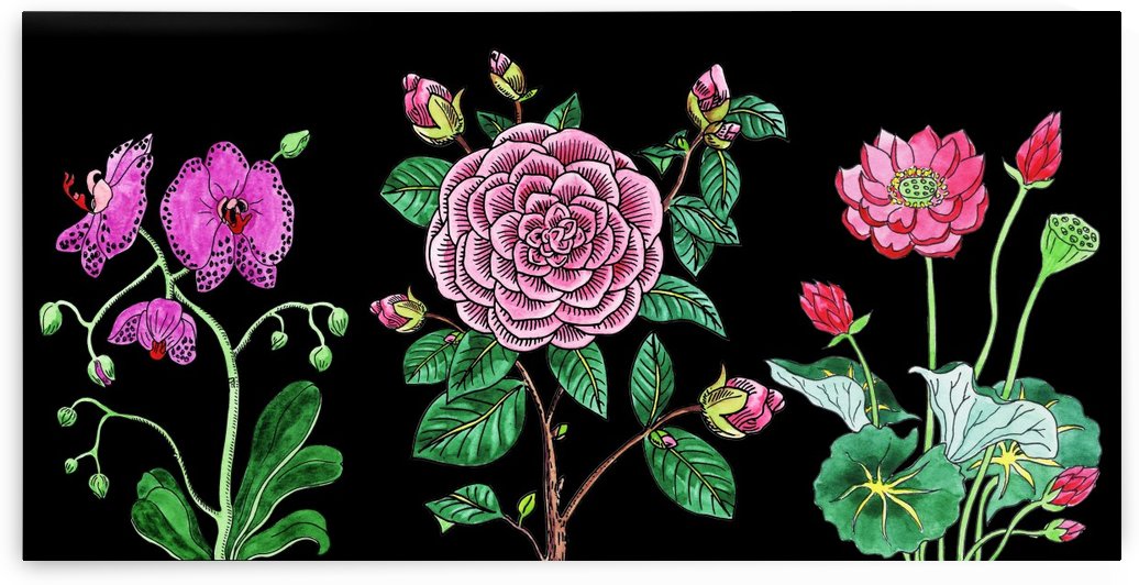 Camellia Orchid Lotus Flowers Watercolor On Black by Irina Sztukowski