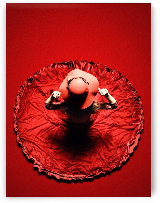 Lady in red by Johan Swanepoel