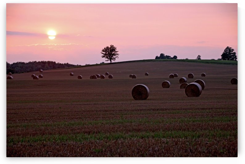 Harvest Sunset by Deb Oppermann