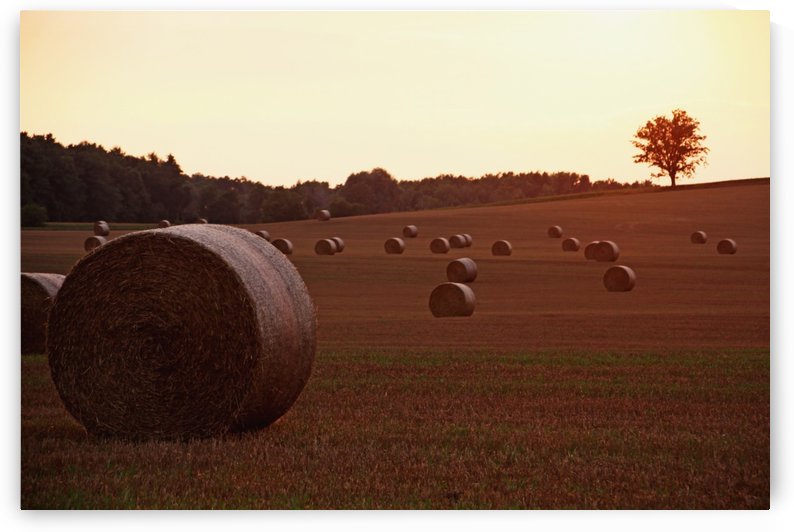 Hay Bales At Sunset by Deb Oppermann