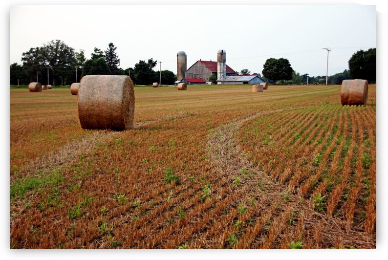 Make Hay by Deb Oppermann
