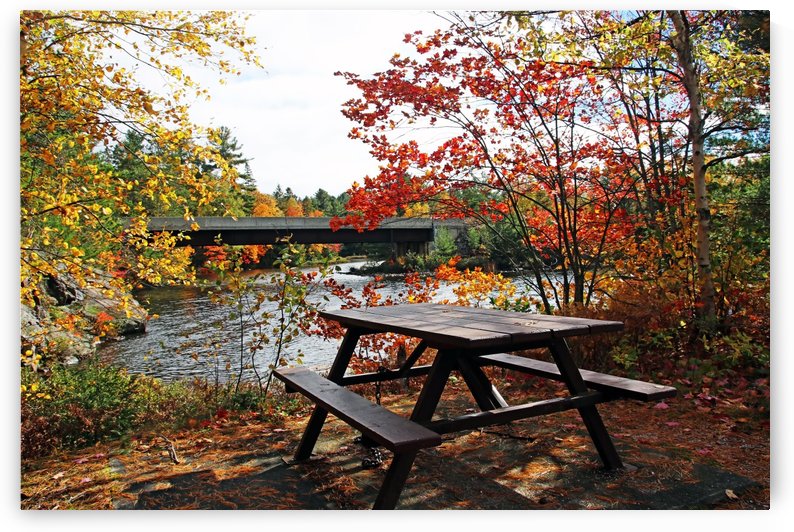 Anyone For Fall Picnic By The Lake by Deb Oppermann