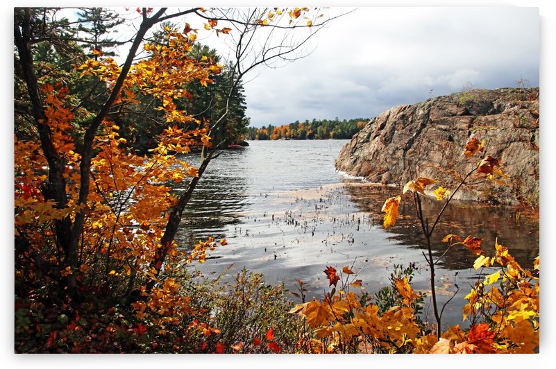 Carlyle Lake by Deb Oppermann