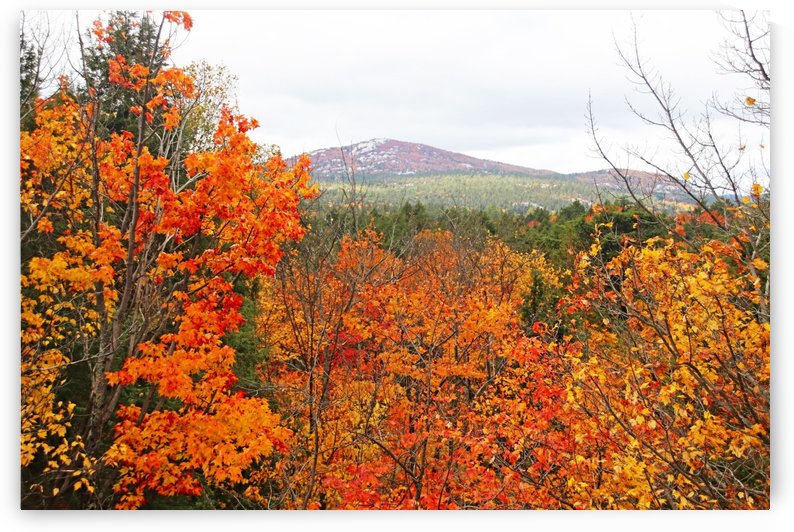 Silver Peak I by Deb Oppermann