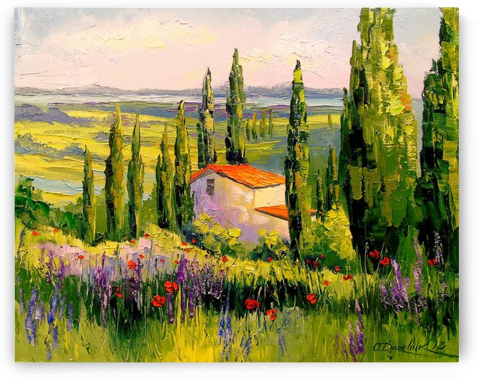 A house in Provence by Olha Darchuk 