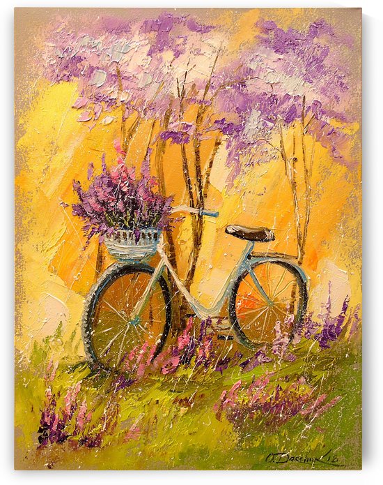 My bicycle by Olha Darchuk 