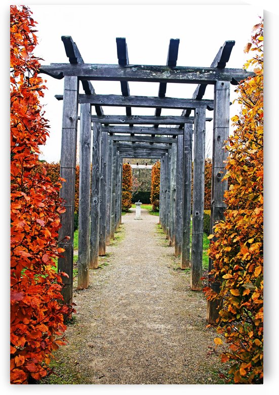 Autumn Arbor by Deb Oppermann