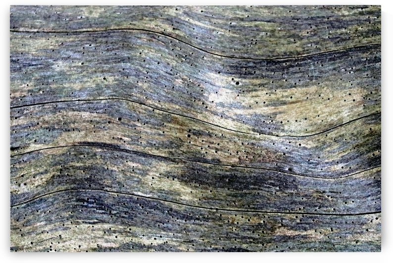 The Wave by Deb Oppermann