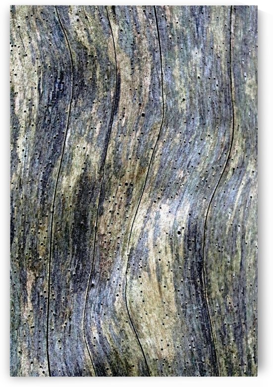 The Wave I by Deb Oppermann