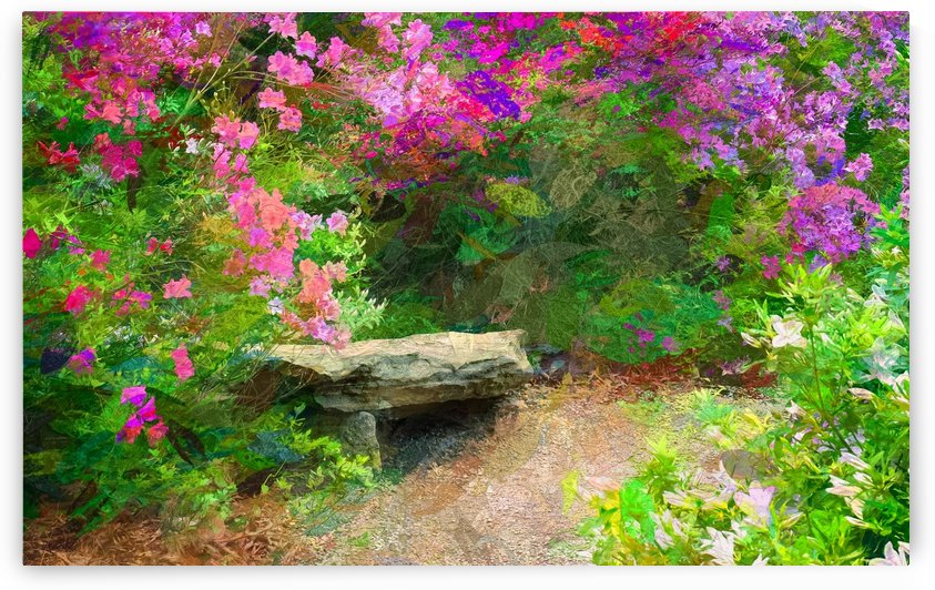 Beautiful Resting Place by Ricky A Richardson 