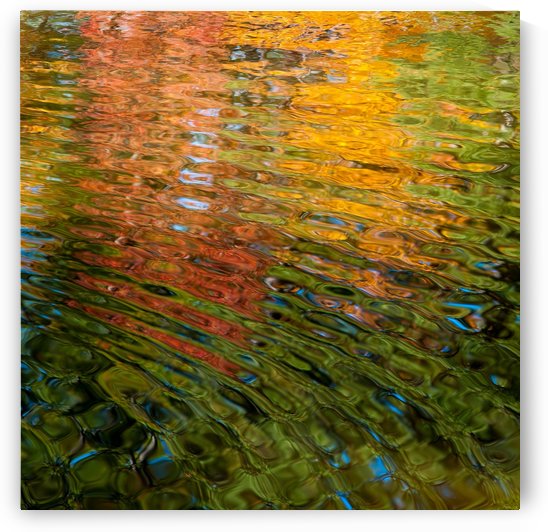 Water Palette I by Ricky A Richardson 