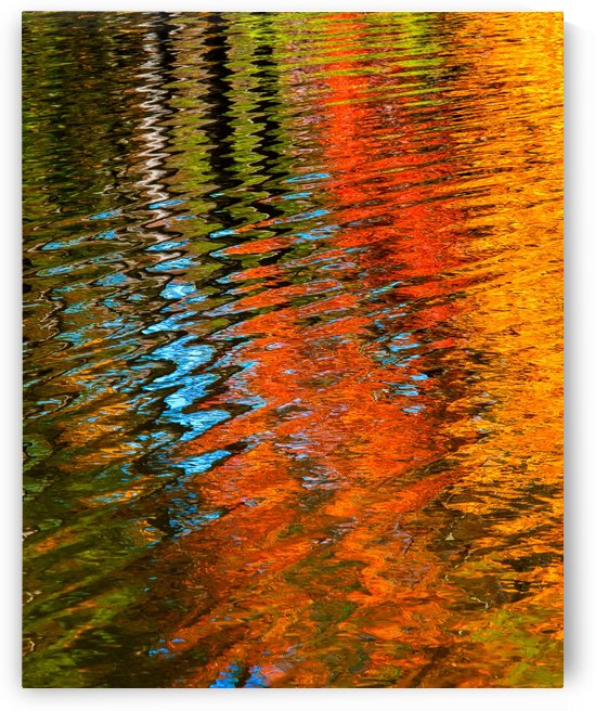 Natures Palette by Ricky A Richardson 