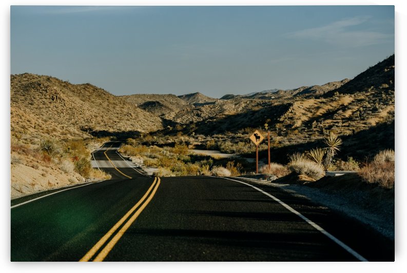 Joshua Tree Road by StephanieAllard