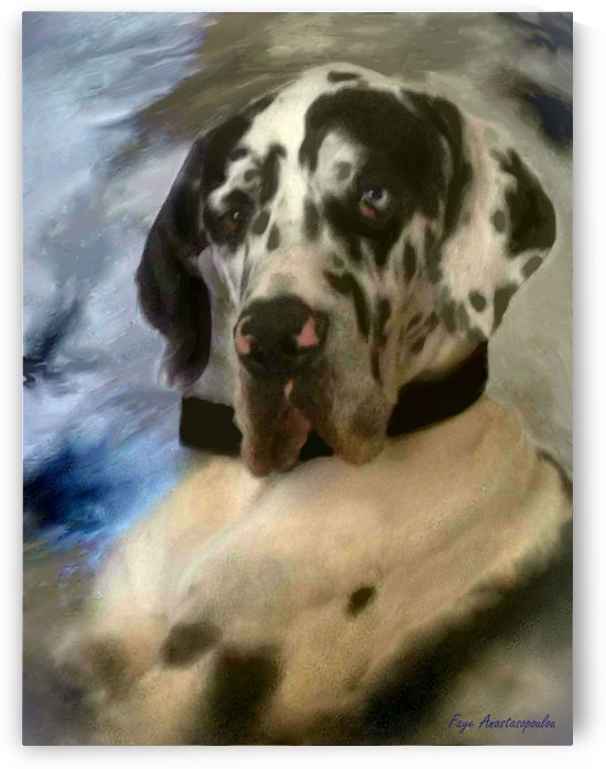 Kaiser by Faye Anastasopoulou