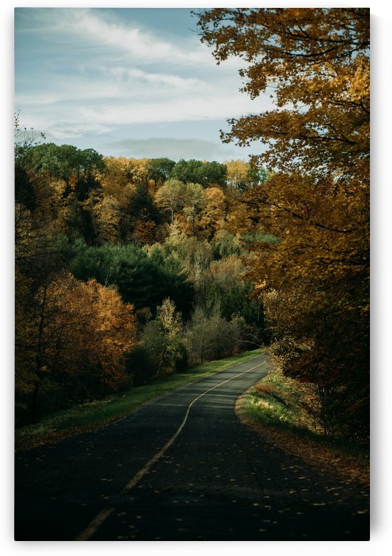 Route dautomne by StephanieAllard