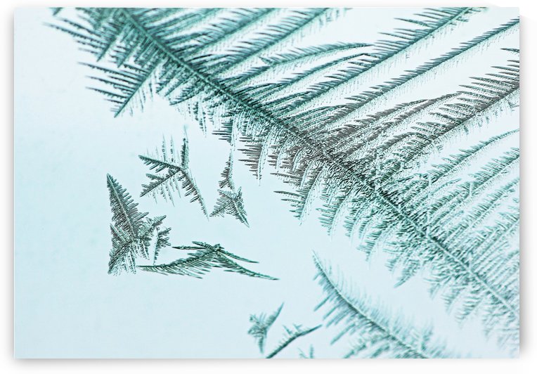 Ice Crystals by Deb Oppermann