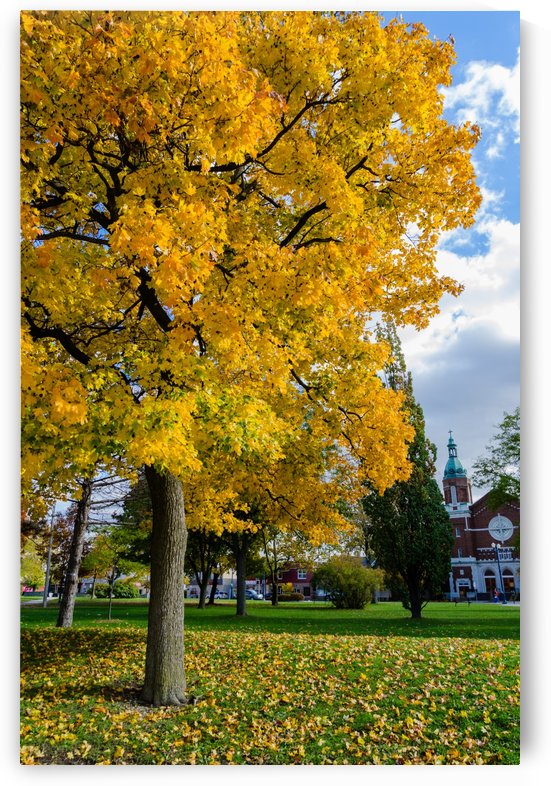 Autumn by Guillaume ANGST