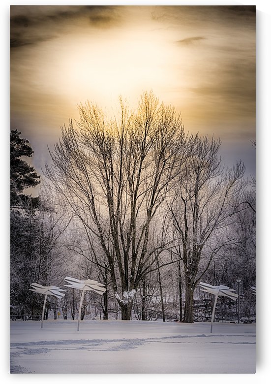 Parc Woodyatt, Drummondville 2 by Ian Gagné