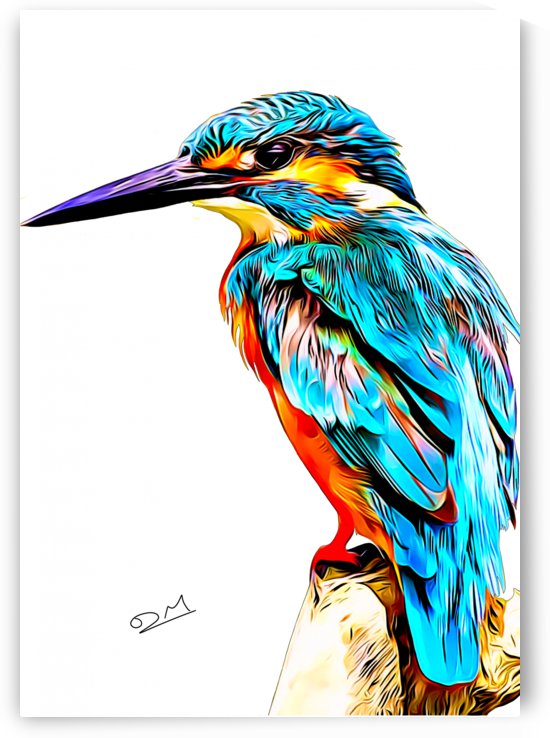 Colourful Kingfisher Illustration by Dan Manton