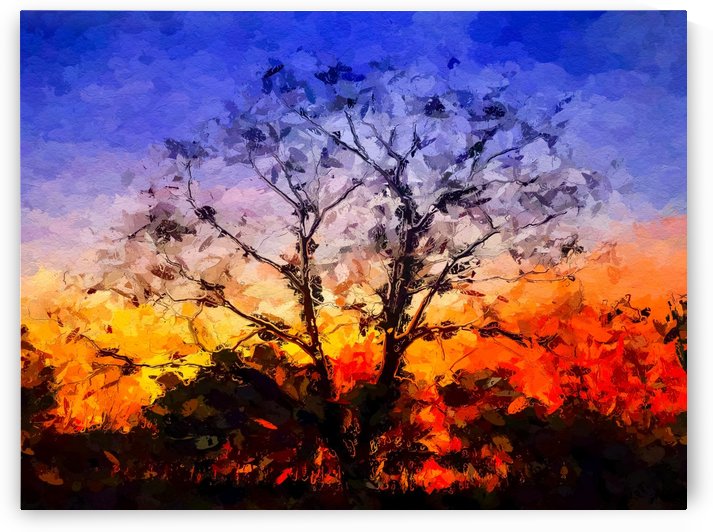 Sunrise Silhouette  by Ricky A Richardson 