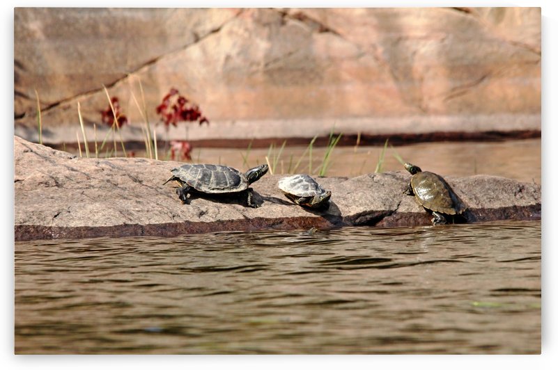 Maps On The Rock by Deb Oppermann