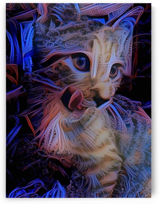 Kitten by Bruce Rolff