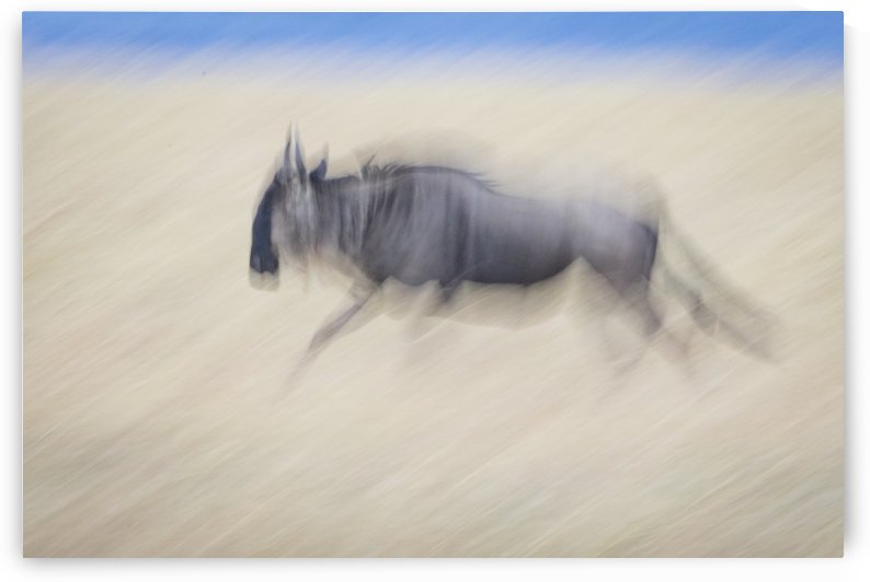 Ghost of Mara North - Color by JADUPONT PHOTO