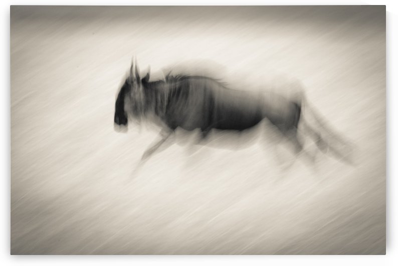 Ghost of Mara North - B&W by JADUPONT PHOTO