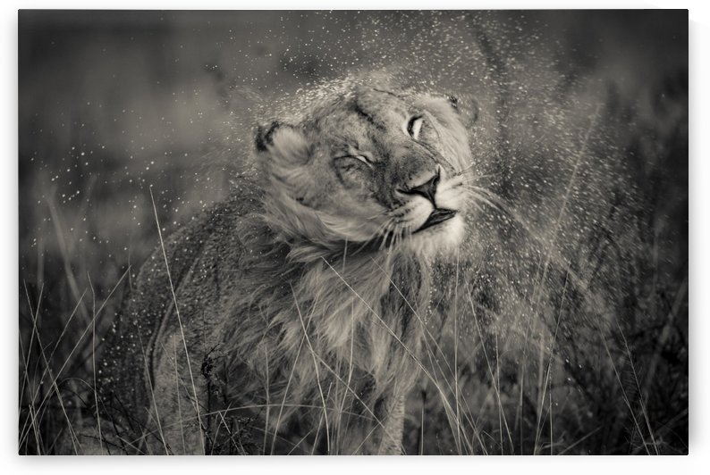 I hate the Rain by JADUPONT PHOTO