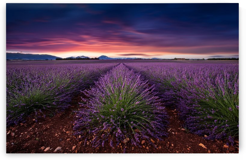 Flame of doubt by Jorge Maia