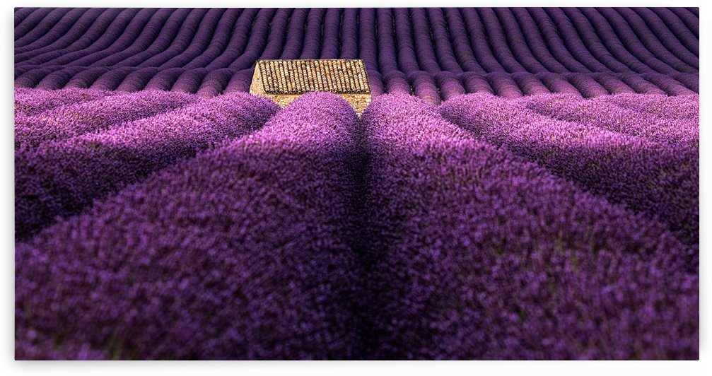 Light me up by Jorge Maia