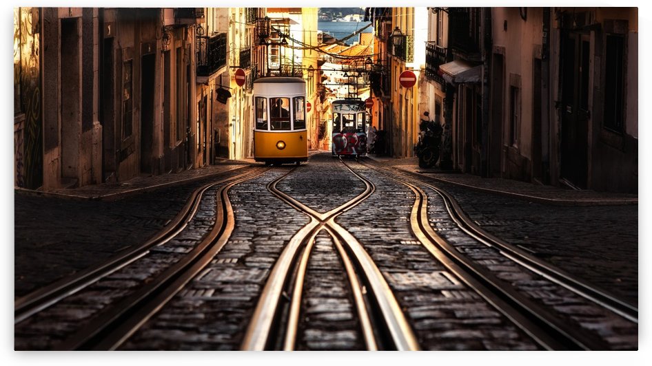 Morning Light by Jorge Maia