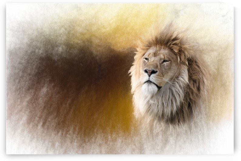 The King by Michel Soucy