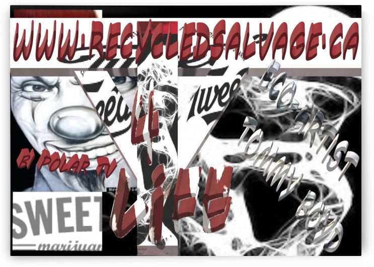 RECYCLEDSALVAGE.CA LG by KING THOMAS MIGUEL BOYD