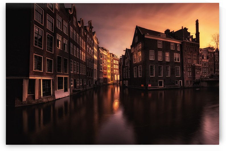 Perception of the mind by Jorge Maia