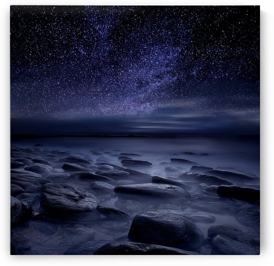 Echoes of the Unknown by Jorge Maia