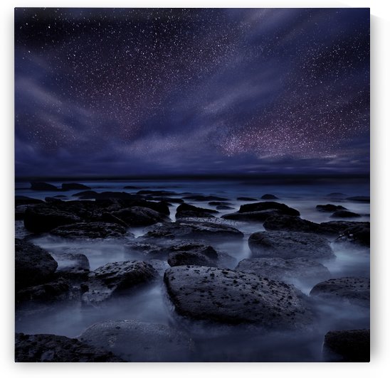 Blue Velvet by Jorge Maia