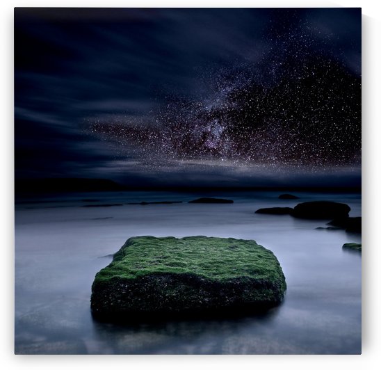 Into the Shadows by Jorge Maia