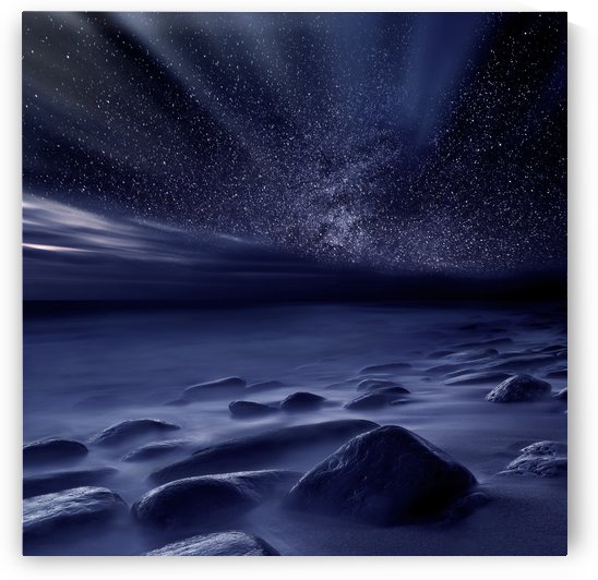 Moonlight by Jorge Maia