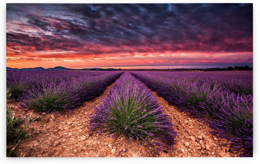 Wonderful World by Jorge Maia